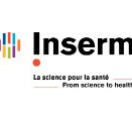 inserm