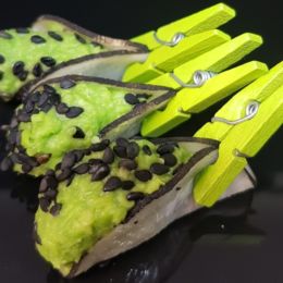 Radis noir et petit pois au sésame