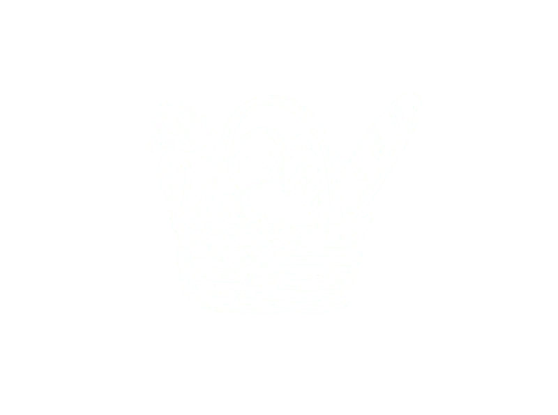 illustration produits epicerie
